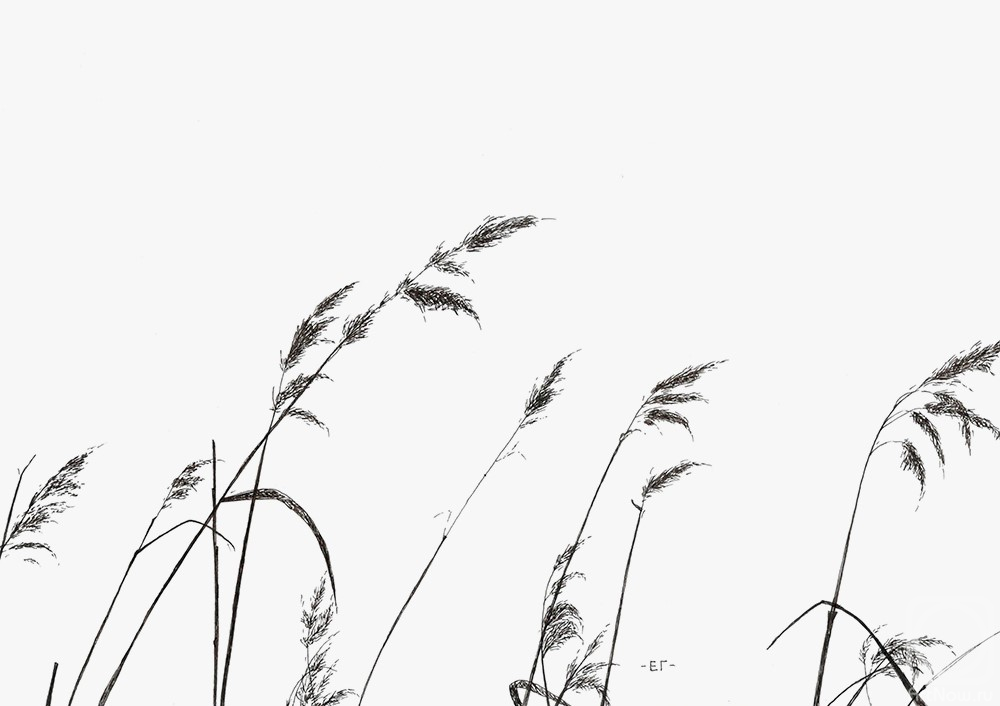 Gureva Elena. Untitled