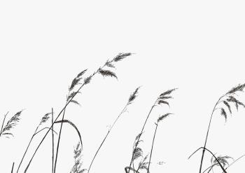 ������� ������ ������������. #10�