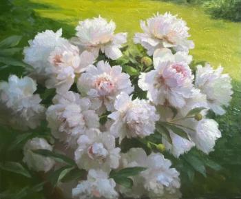 ����� (���� ������). �������� ����