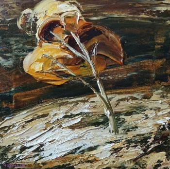 ������� ������ ������� ��������7�