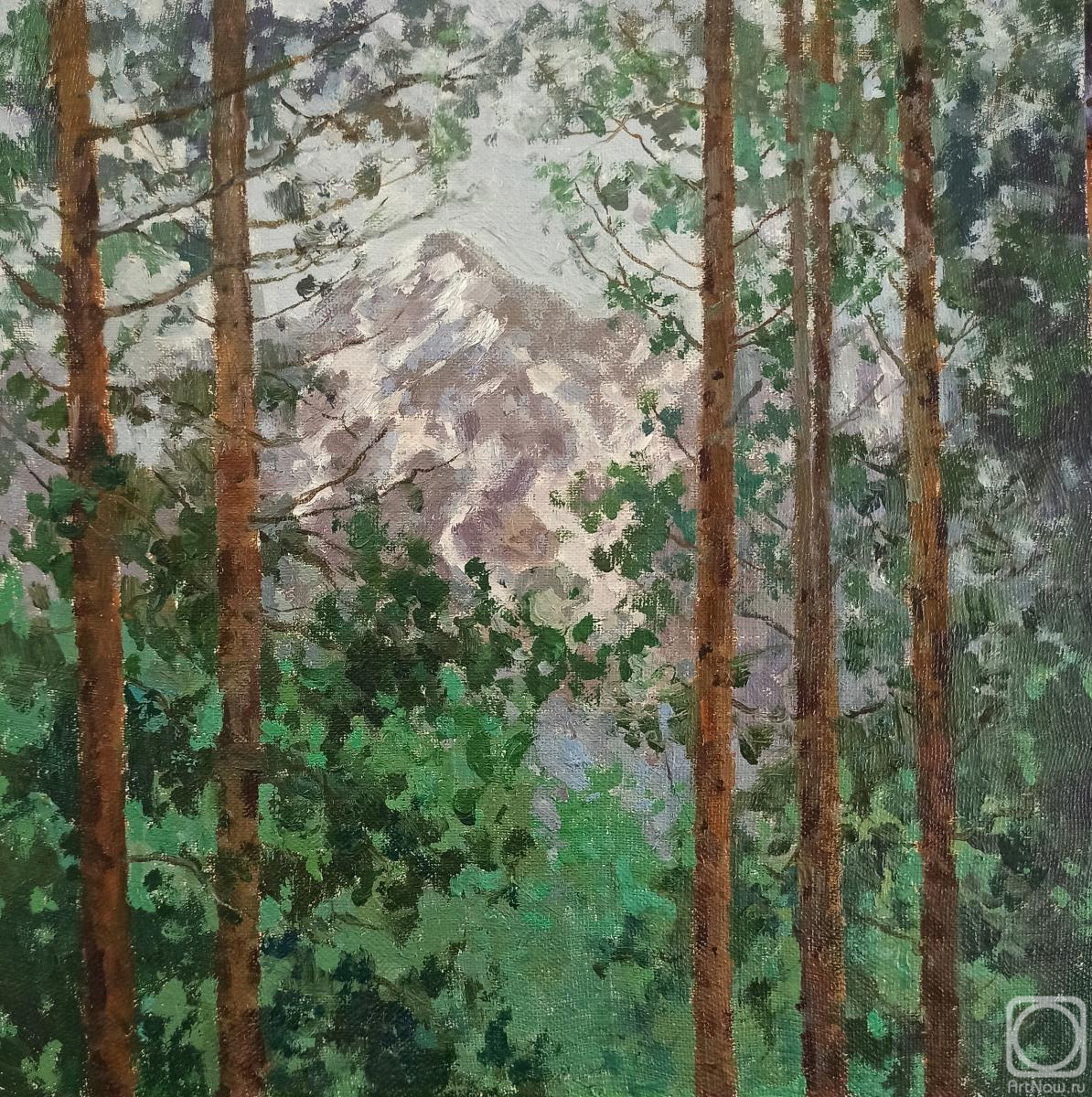 ������� ������ �� ������. �������� �����. ��� �� ���� ����� �����