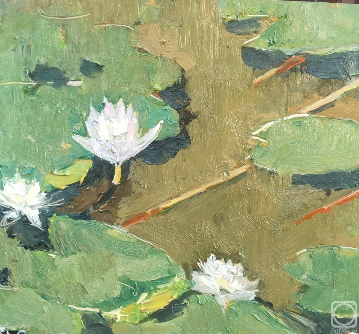 �������. ������� �������. �����