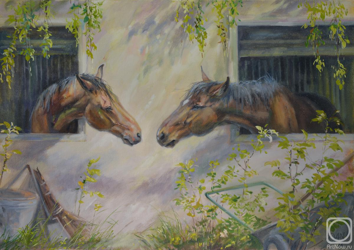 ������� ������ �� ������. ���������� ����. �������� ����������