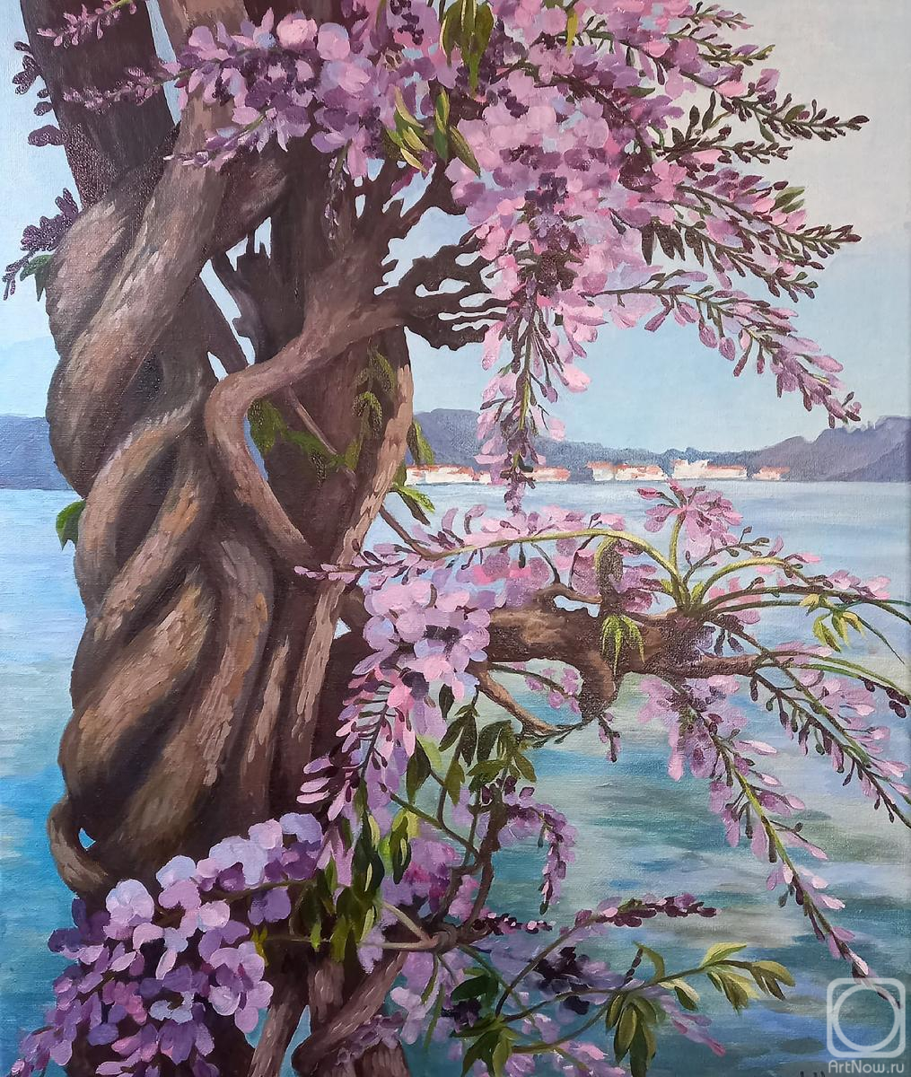 ������� ������ �� ������. ���������� �����. ��������