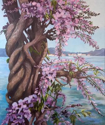 Wisteria (Blooming Flower Canvas). Kupriyanova Irina