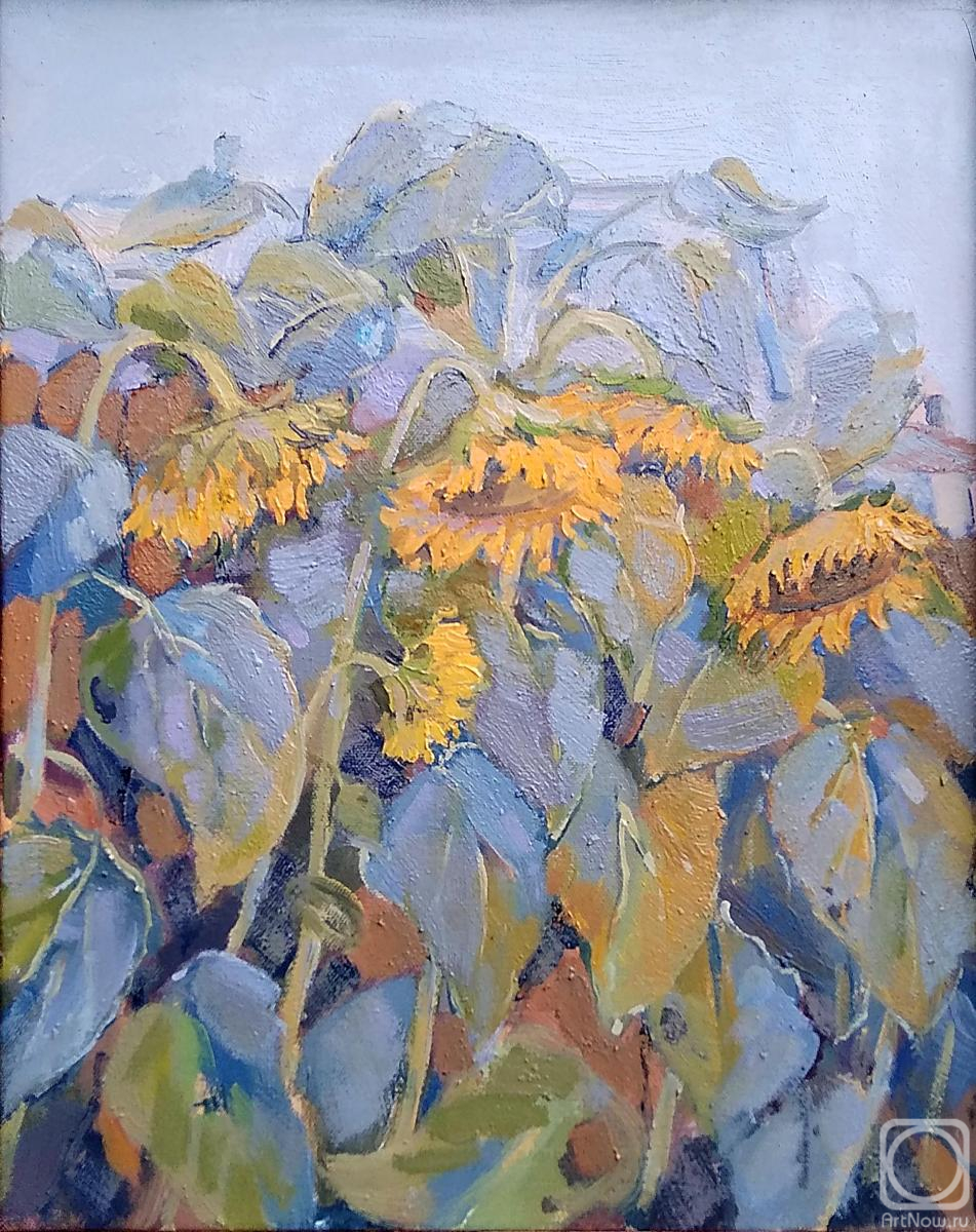 ������� ������ �� ������. ������� ��������. ���� ���� � ������������ 30�24 ��