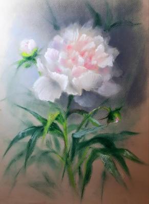 Pion. Vaganova Lyudmila