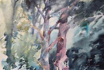 ������� ������