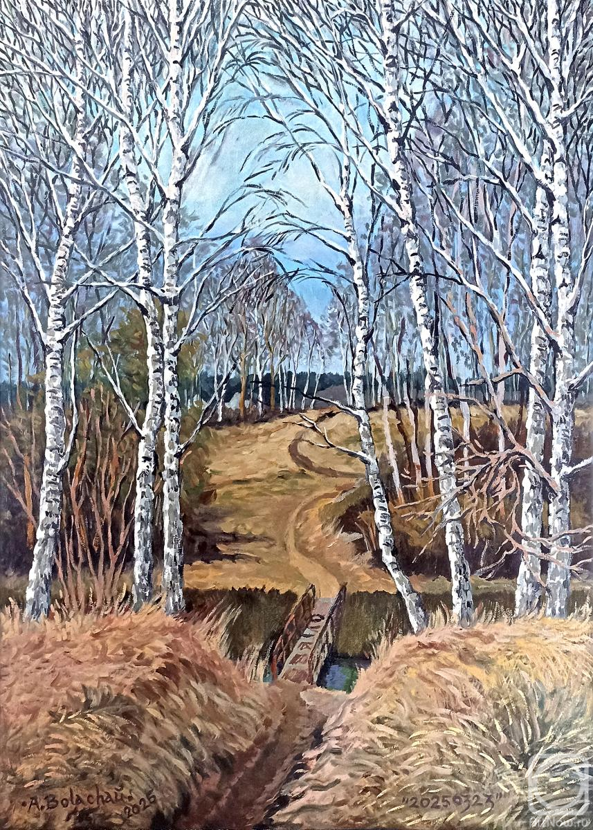 �������. ������� ���������. 20250323