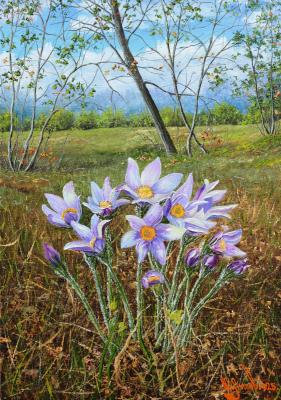 Snowdrops (Lysov). Lysov Yuriy