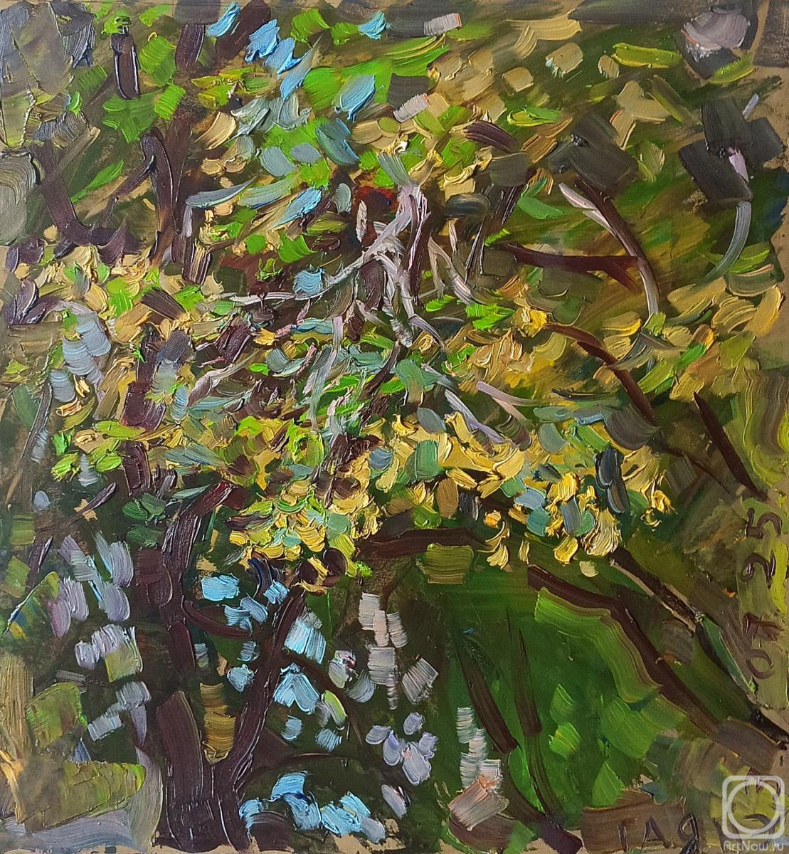 �������. ������������� �����. ����, �������� ����