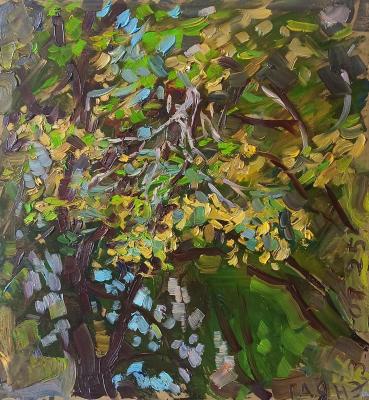 ����, �������� ����. ������������� �����