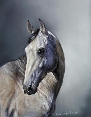 ������� �������� ������