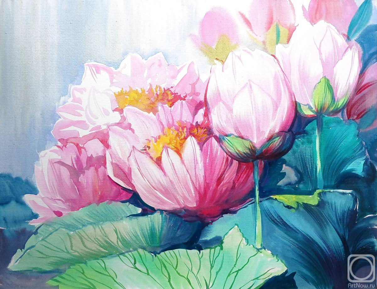 �������. ���������� ���������. �����