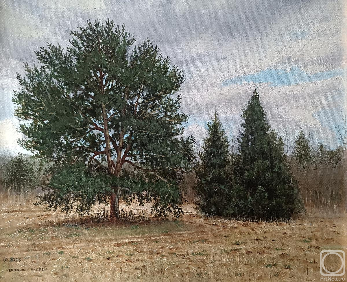 ������� ������ �� ������. �������� ������. ������