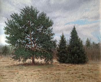 ������� ��������