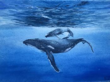 �������� ����