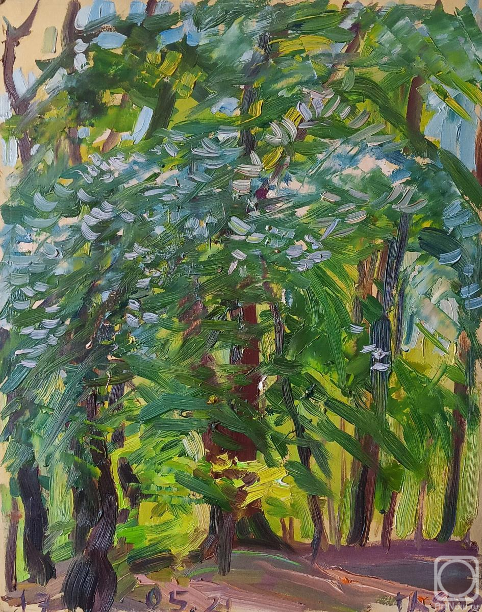 �������. ������������� �����. �����, �� ���� ������ ������ ��������