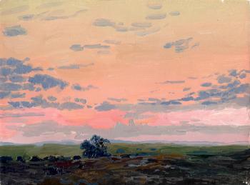 Sunset. Russian field