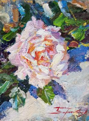 ���� (��������� ����). �������� �������