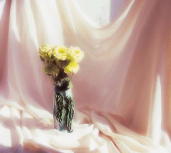 ���� �����. �������� �������