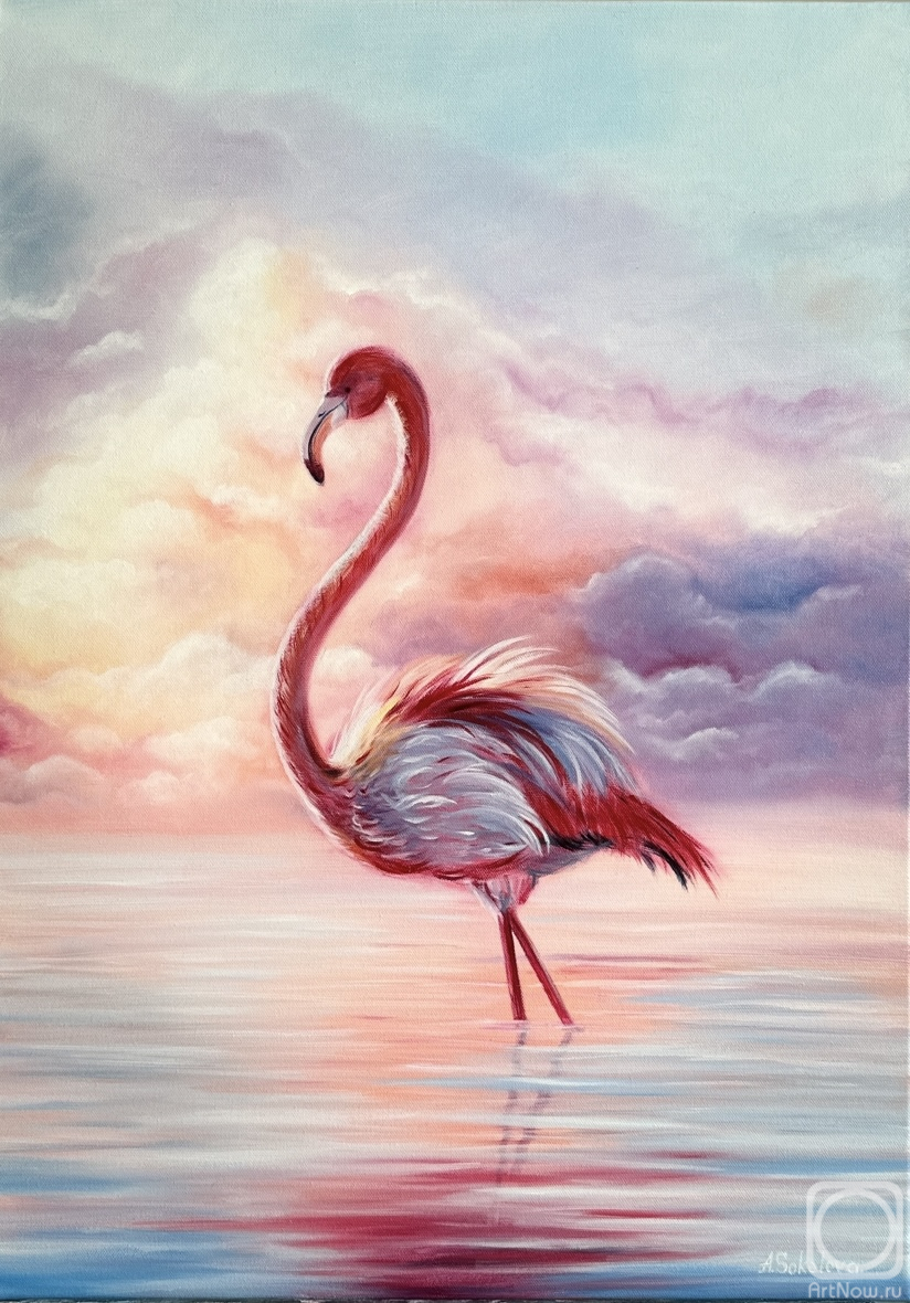 ������� ������ �� ������. �������� ����. ������� ��������