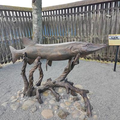 ���������� ���������� ����