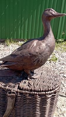 ��������� ����