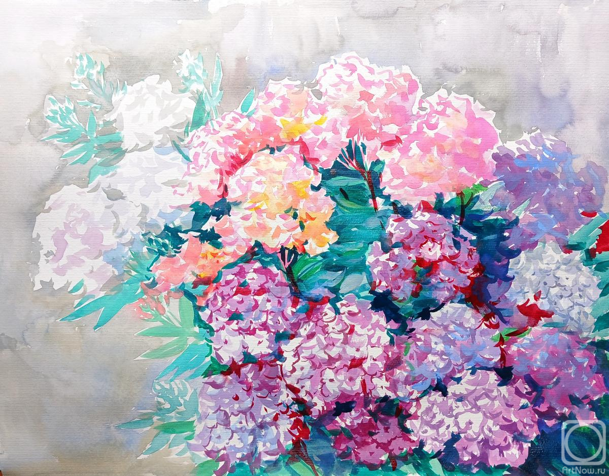 �������. ���������� ���������. ������