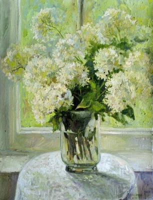 ����� ����� ���������. ���������� �������