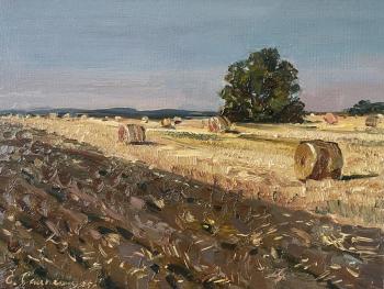 ���� ������. ������� �����