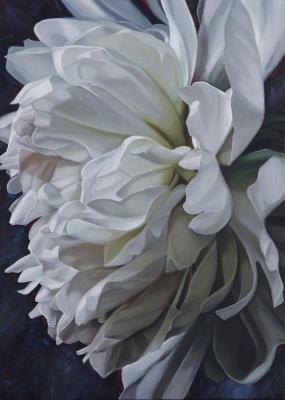 ����� ���� (������������ ���������). ���������� ���������