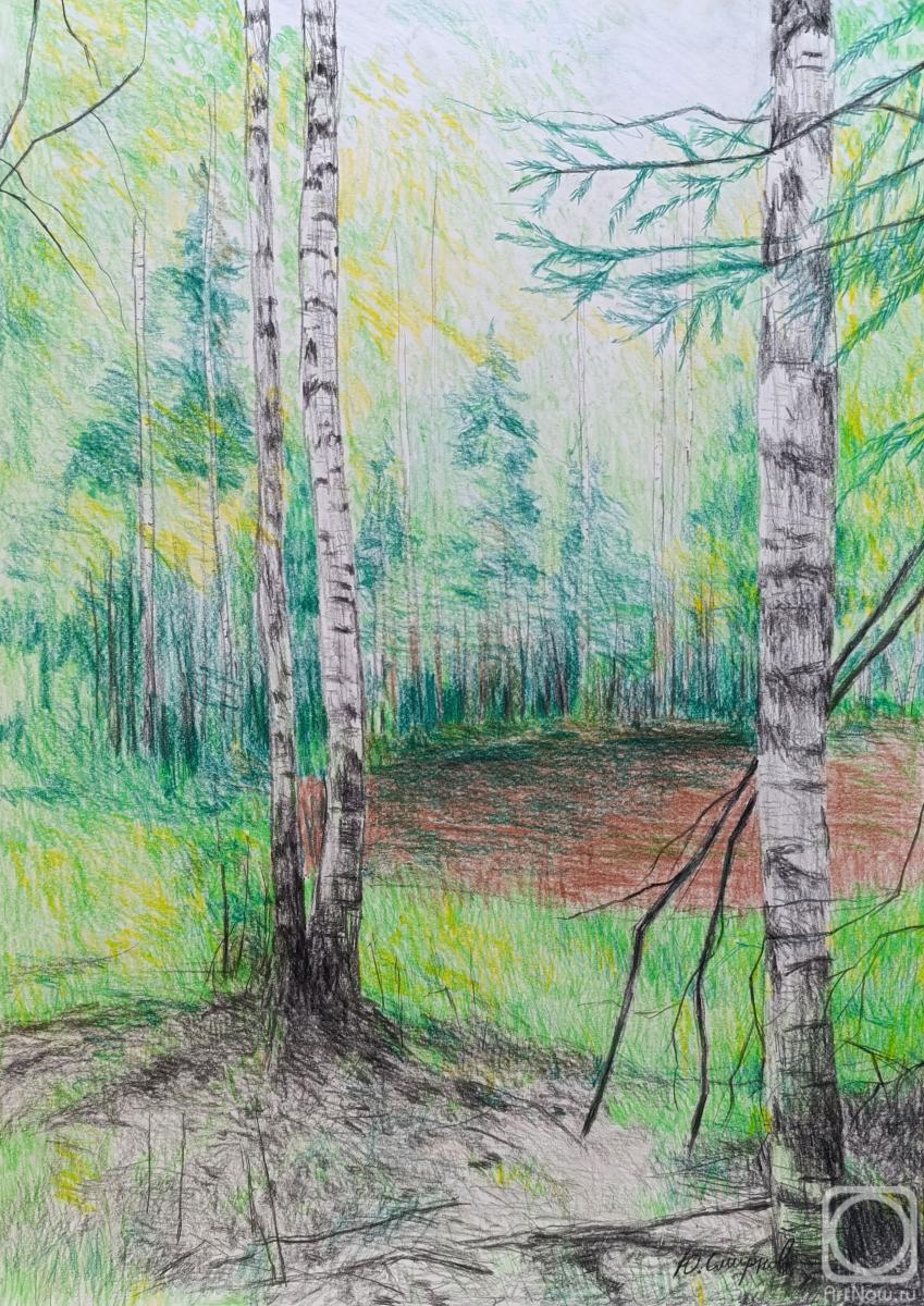 �������. ������� ����. ������ �����