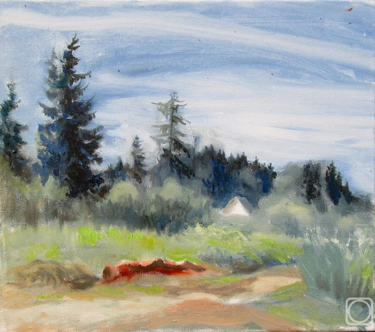 ������� ������ �� ������. �������� �������. ����� � ����, ����