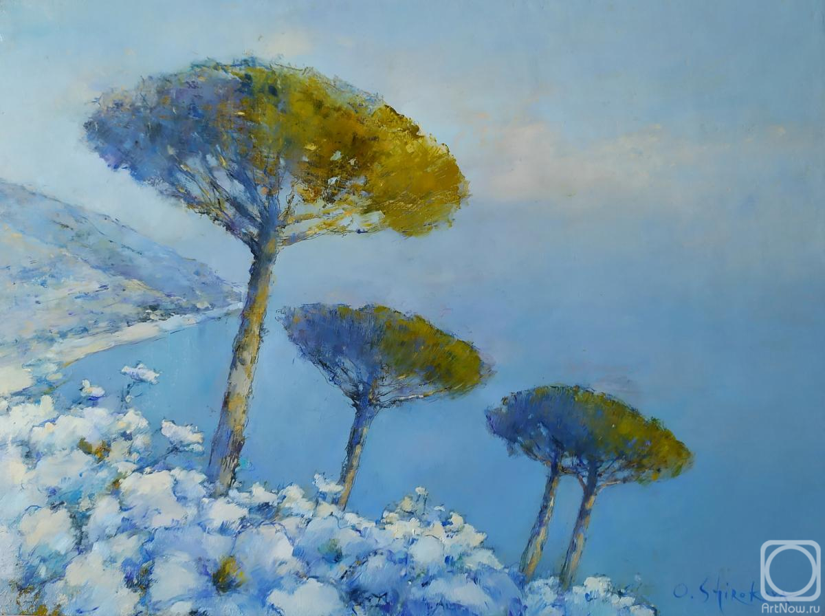 ������� ������ �� ������. �������� �����. �������������� ���������