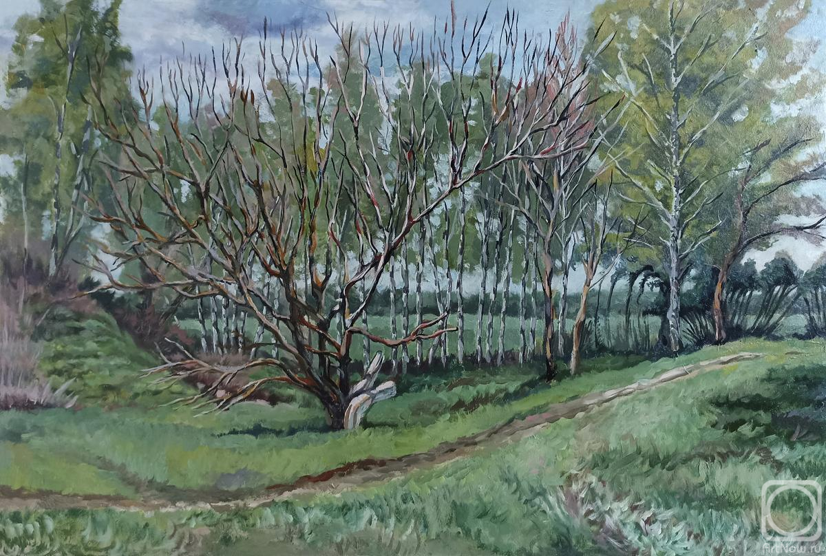 �������. ������� ���������. ���������� ������