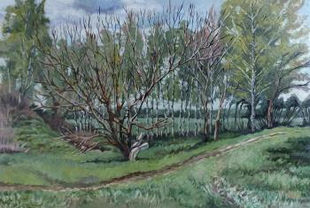 ������� ����������� ������