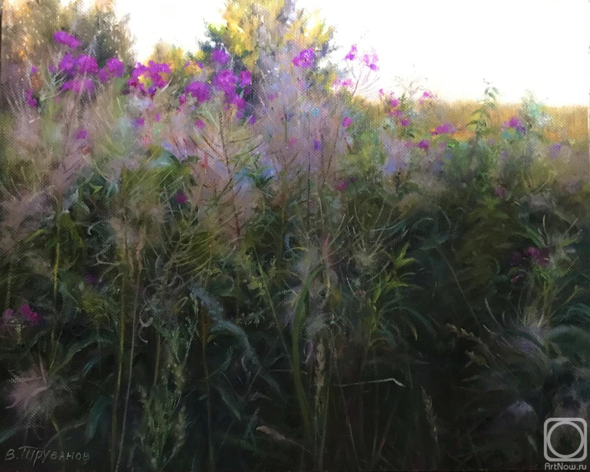 ������� ������ �� ������. �������� �������. �������� ����