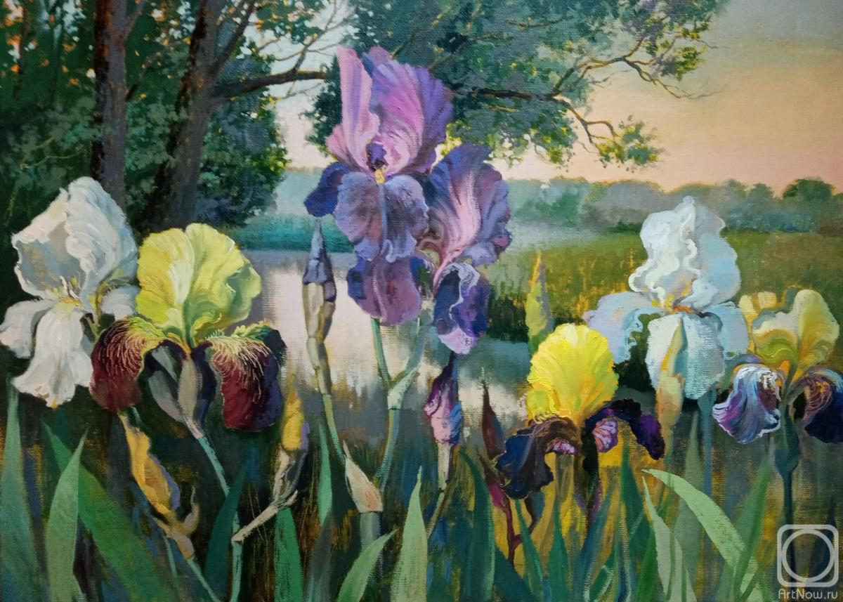 ������� ������ �� ������. ���������� �������. ����� � ����