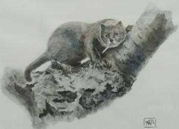 �����. ��������� ����