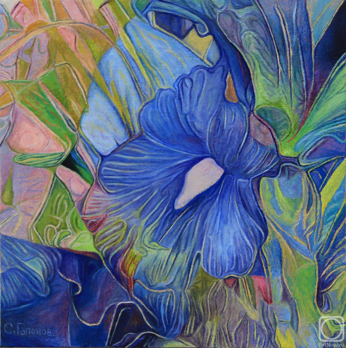 ������� ������ �� ������. ������� ������. ��������� �������