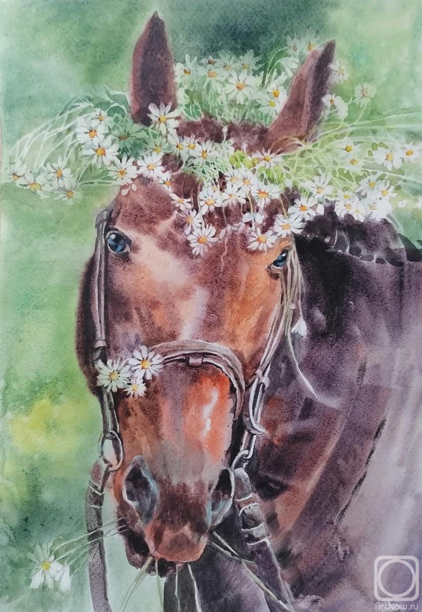 �������. ��������� �������. ����������� �����