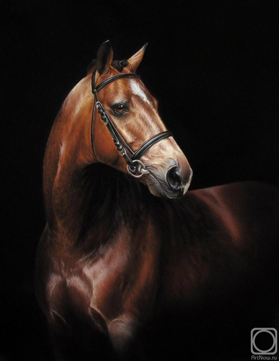 Kuznetsova Anastasiya. Untitled