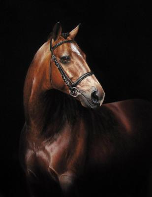 ������� �������� ������