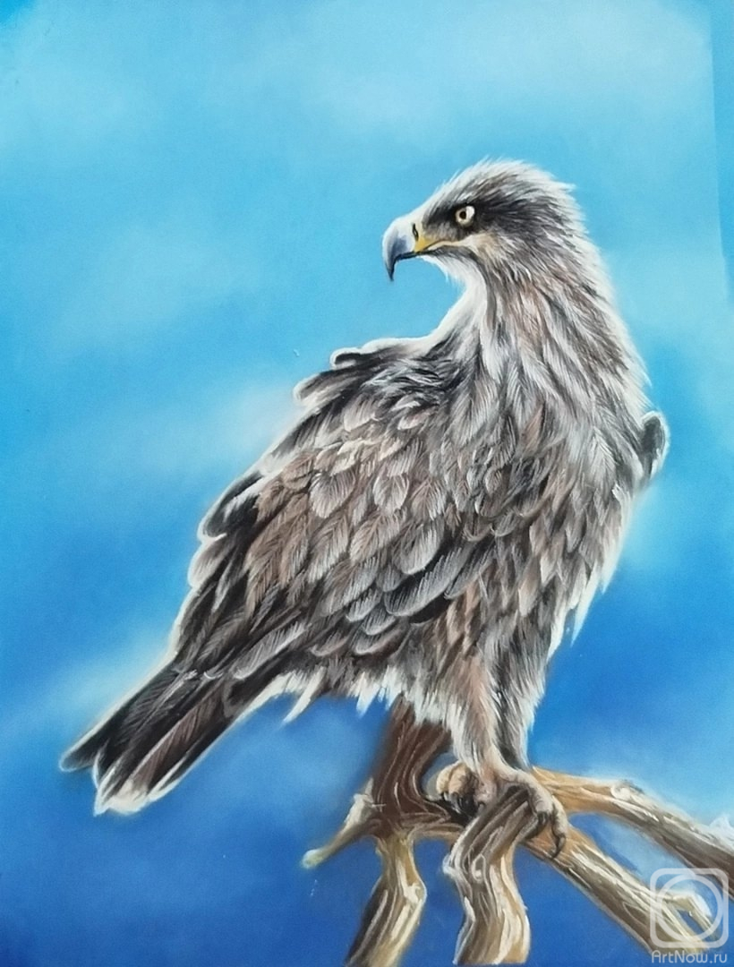 �������. ��������� ���������. ������� ������ �����