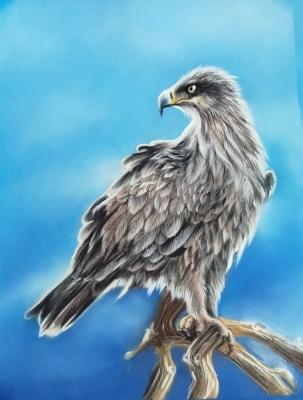 ������� ������ �����. ��������� ���������