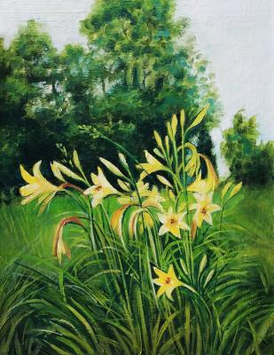 ������� ���������