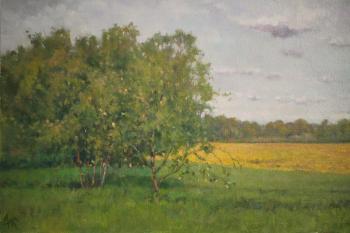 ������� �� ������ ����