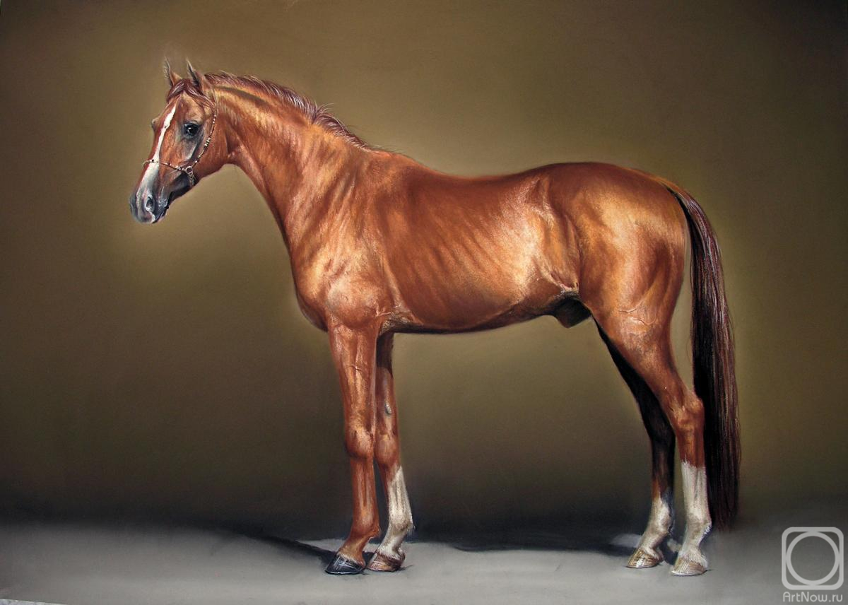 �������. ��������� ���������. ������ ������