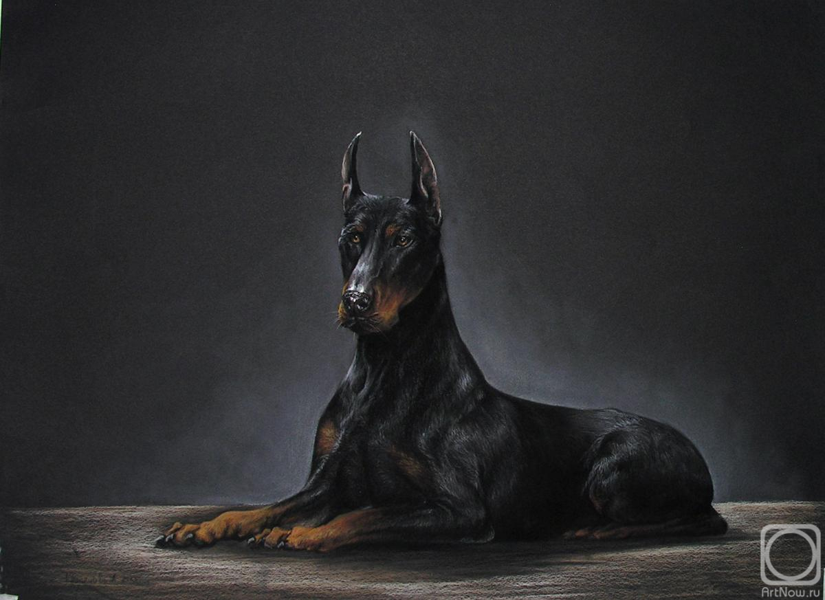 �������. ��������� ���������. �������� ������